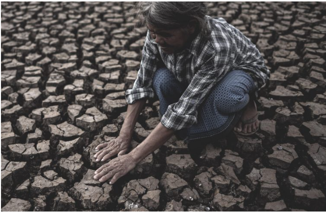 Cop29, fermare in tempo la “guerra” contro i cambiamenti climatici